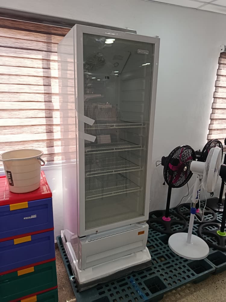 Exhibidor Royal de 12.5 pie